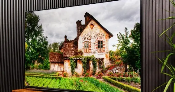 5000 元预算死磕到底：投影的大屏和电视的画质谁更值？