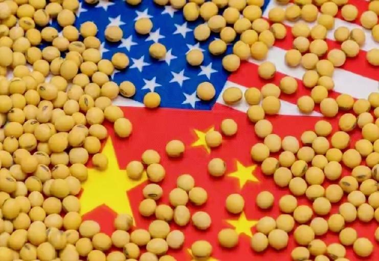 中美经贸破局信号？中方恢复采购大豆成协议先行指标
 我认真查了一圈全网信息，发现