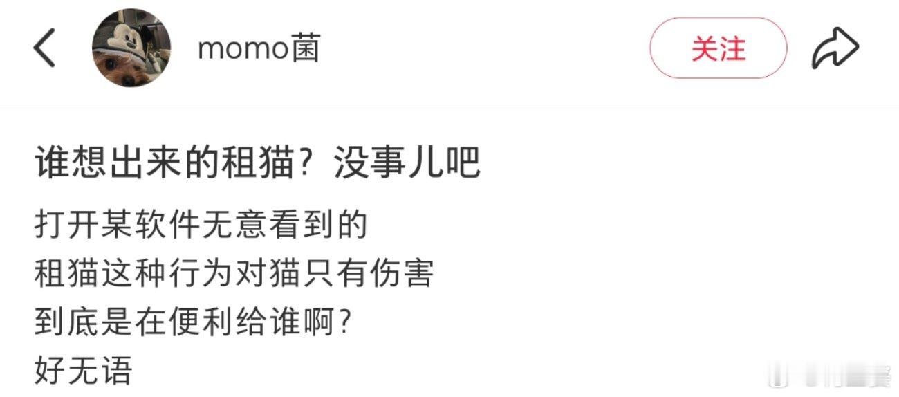 -怎么还有这种租猫服务啊？？小猫又不是什么物品，租来租去的合适吗？？ 