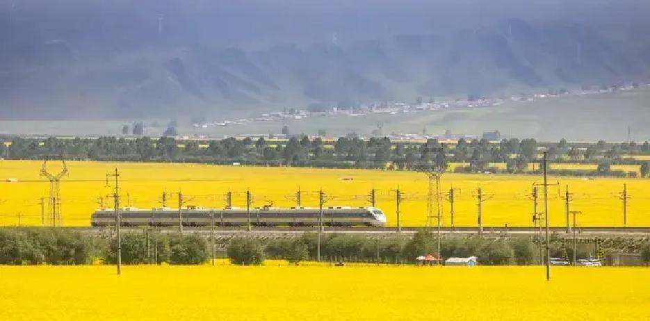 60岁门槛刚跨，人生反转剧上演：那些以为“定局”的日子，竟爆发出前所未有的自由火