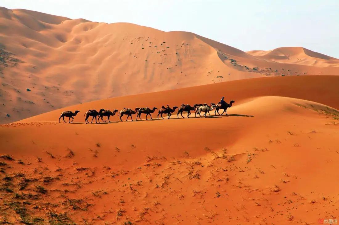 塔克拉玛干大沙漠，这片占地约33万平方公里的浩瀚荒漠，正迎来前所未有的大规模治理