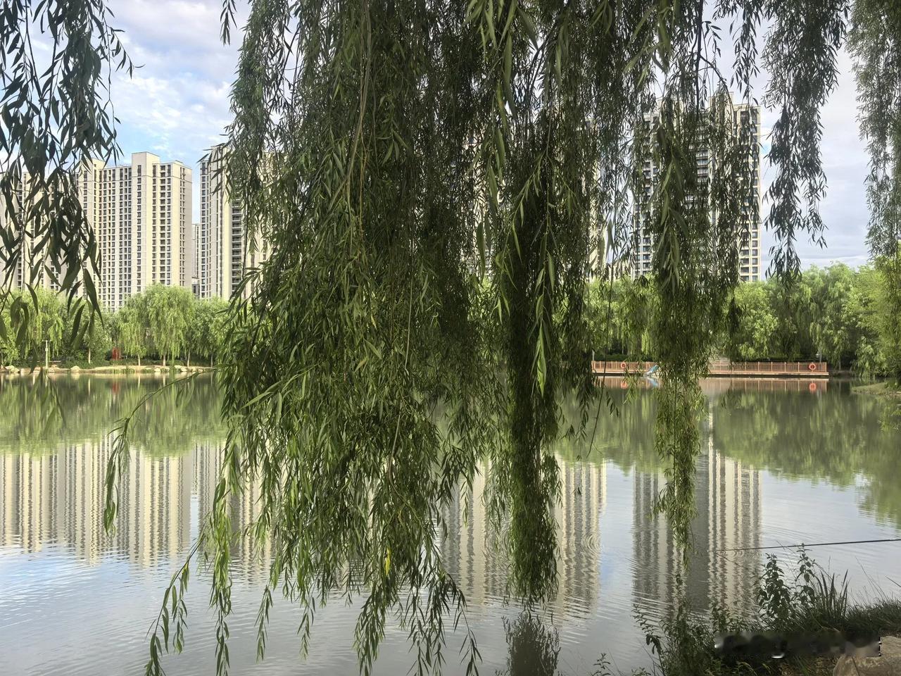 晒图笔记大赛雨后的城市，多了些许喧嚣和热闹。波光粼粼的湖面，倒影着城市的影子。孩