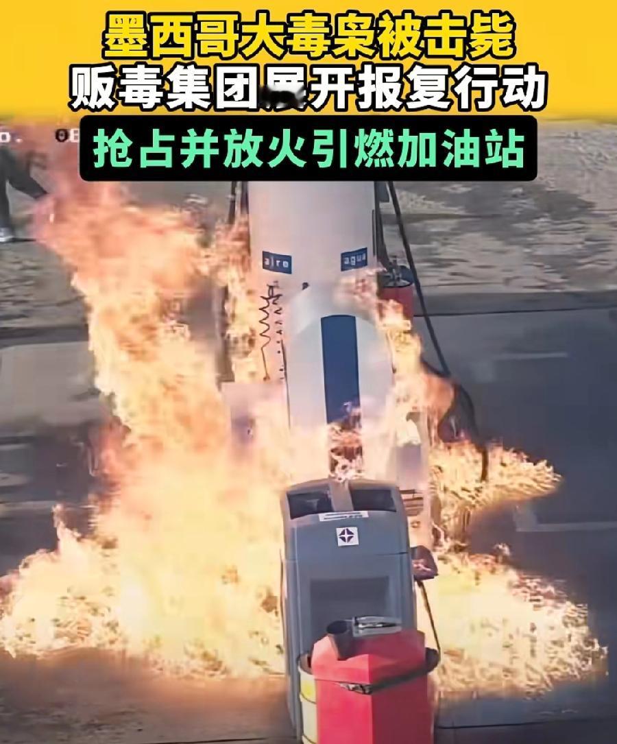 墨西哥真乱！贩毒集团无法无天！光天化日拿着枪，抢占放火烧了一个加油站！两名加油员