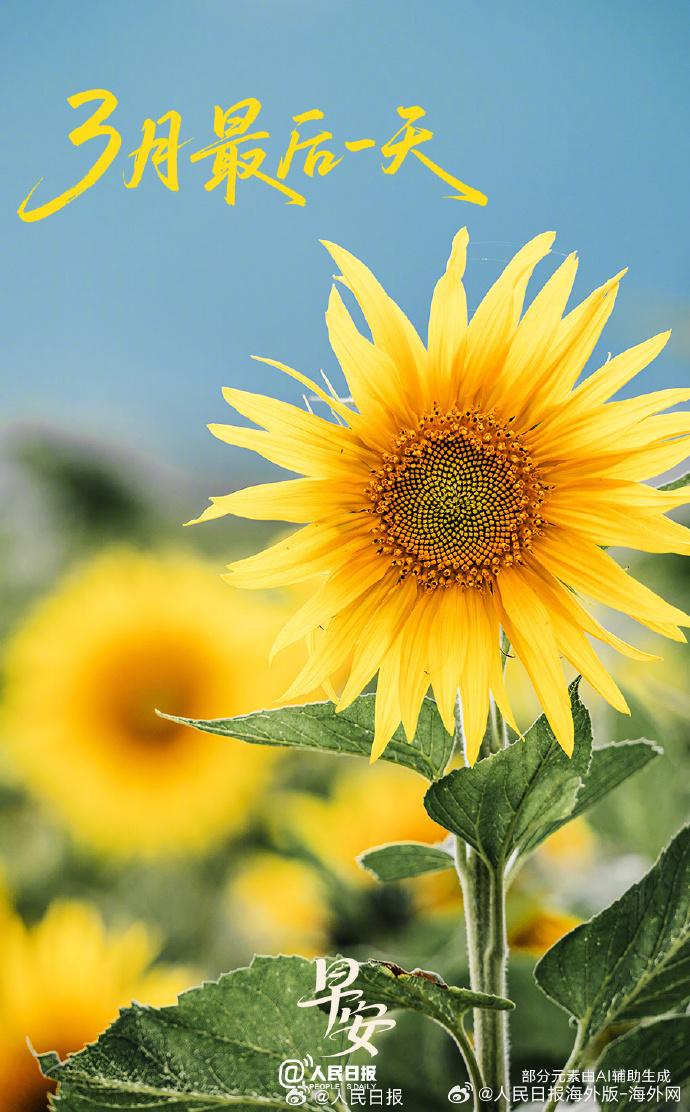 #向海外朋友问好# 【愿你一路惊喜，一路马不停蹄】今天，#3月最后一天#。春光正