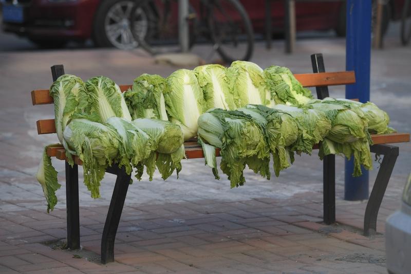 劝大家趁现在还能接受，赶紧囤点白菜！
 
今年买菜真的颠覆认知，往年几毛钱一斤的