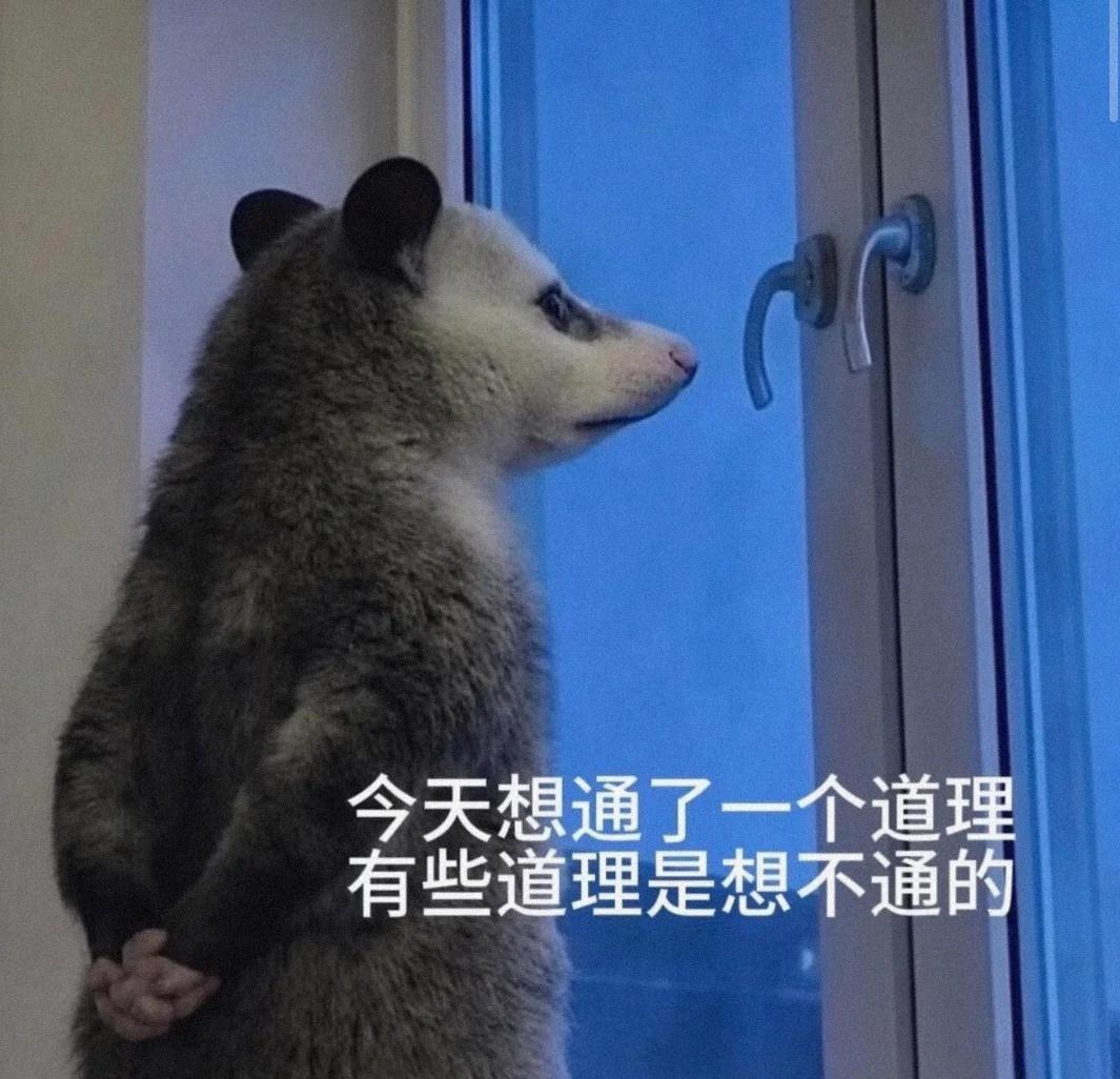 就是不会开车才特意选的车少时练车啊
甚至选了一个在修路，不通车，完全没有任何行人