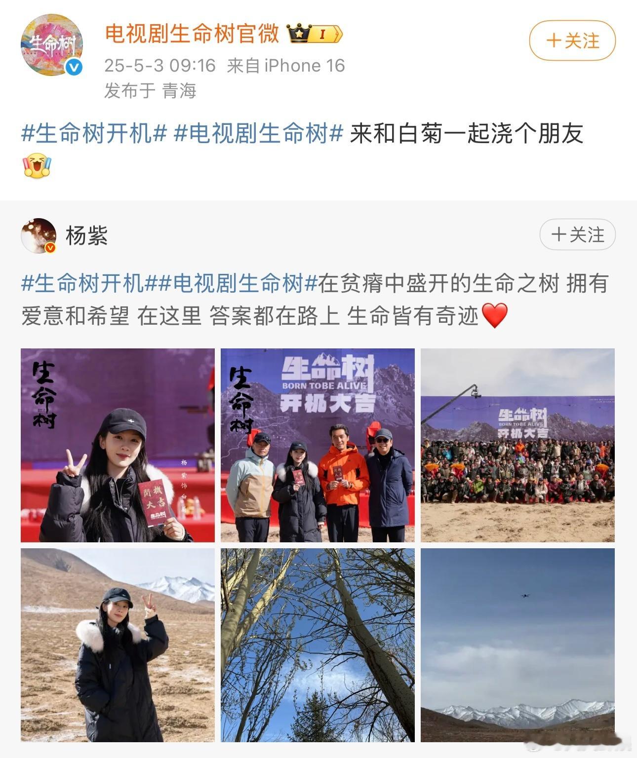 来和白菊一起浇个朋友杨紫生命树开机大吉，拍摄顺利，期待杨紫白菊[打call] ​