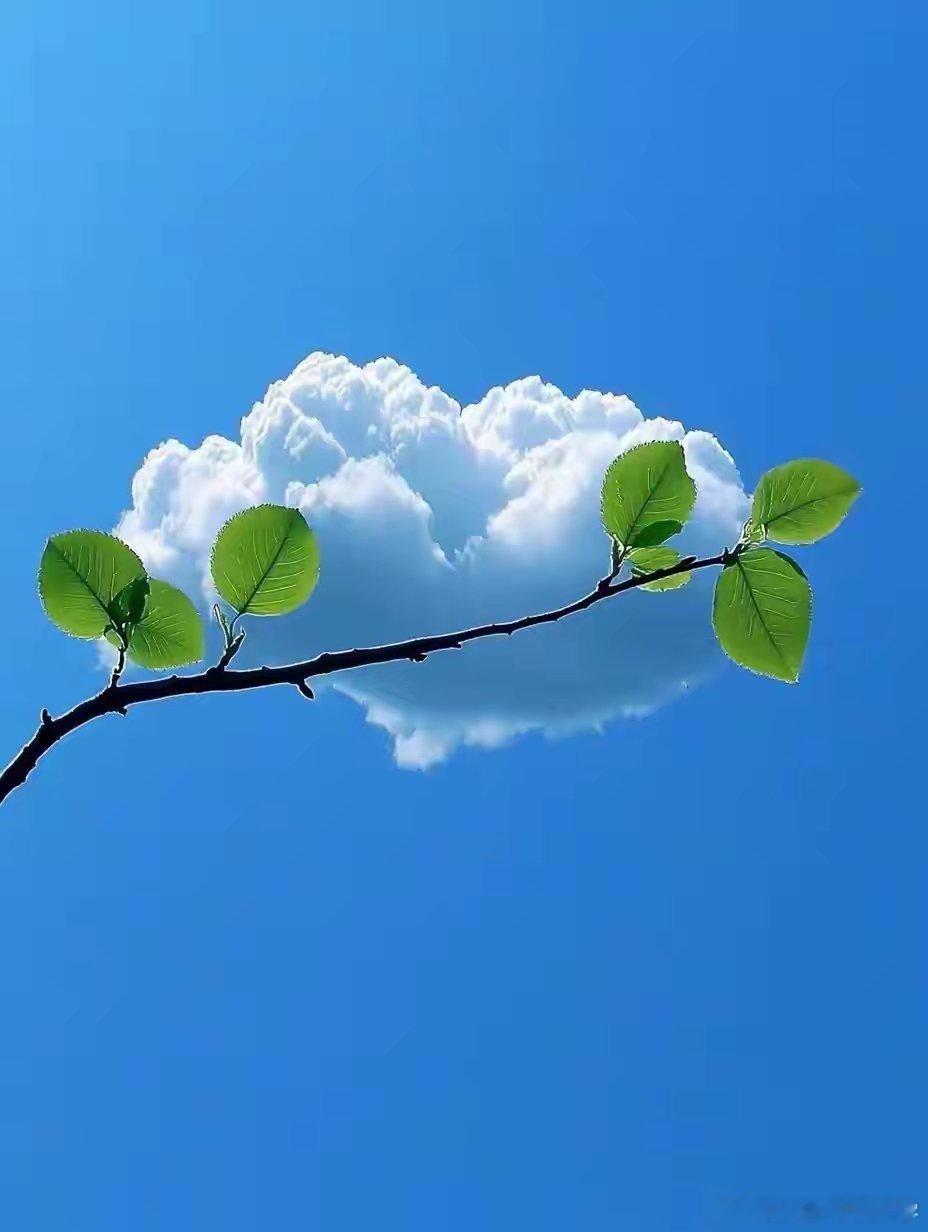 越是不能放下的，越容易失去；越想牢牢抓住的，越消失得快。越想拥有的，常不属于你；