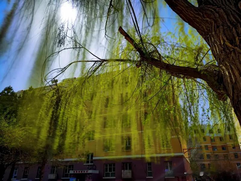 春原骏足踏青归，陌上风轻拂客衣。
新柳初匀千缕色，山桃欲绽半含辉。
云移碧落随鸢