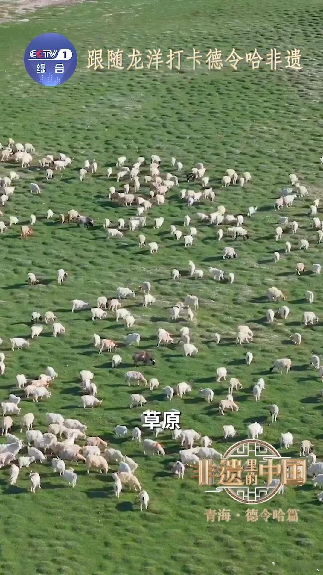 跟随龙洋打卡德令哈非遗非遗里的中国 好了我正式宣布德令哈加入我的旅行清单！龙洋把