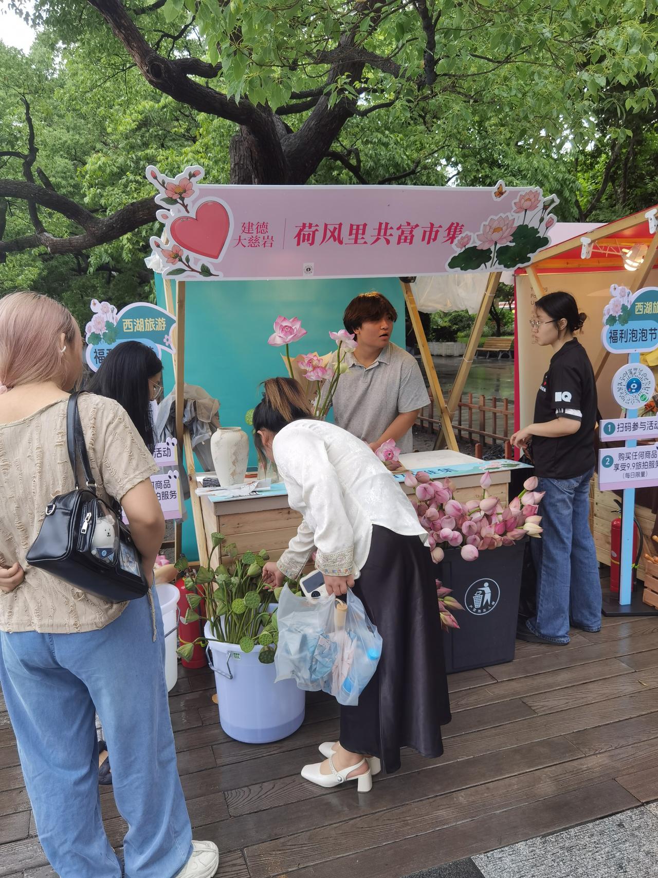 建德大慈岩贡荷太漂亮，可以手工造型。贡荷 建德大慈岩荷花 荷花