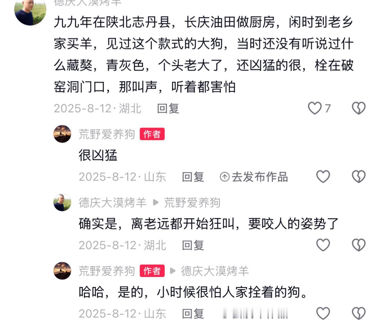陕北土狗属于北方笨狗种群的一员。由于陕北地区离牧区更近，陕北地区的土狗獒血更重，