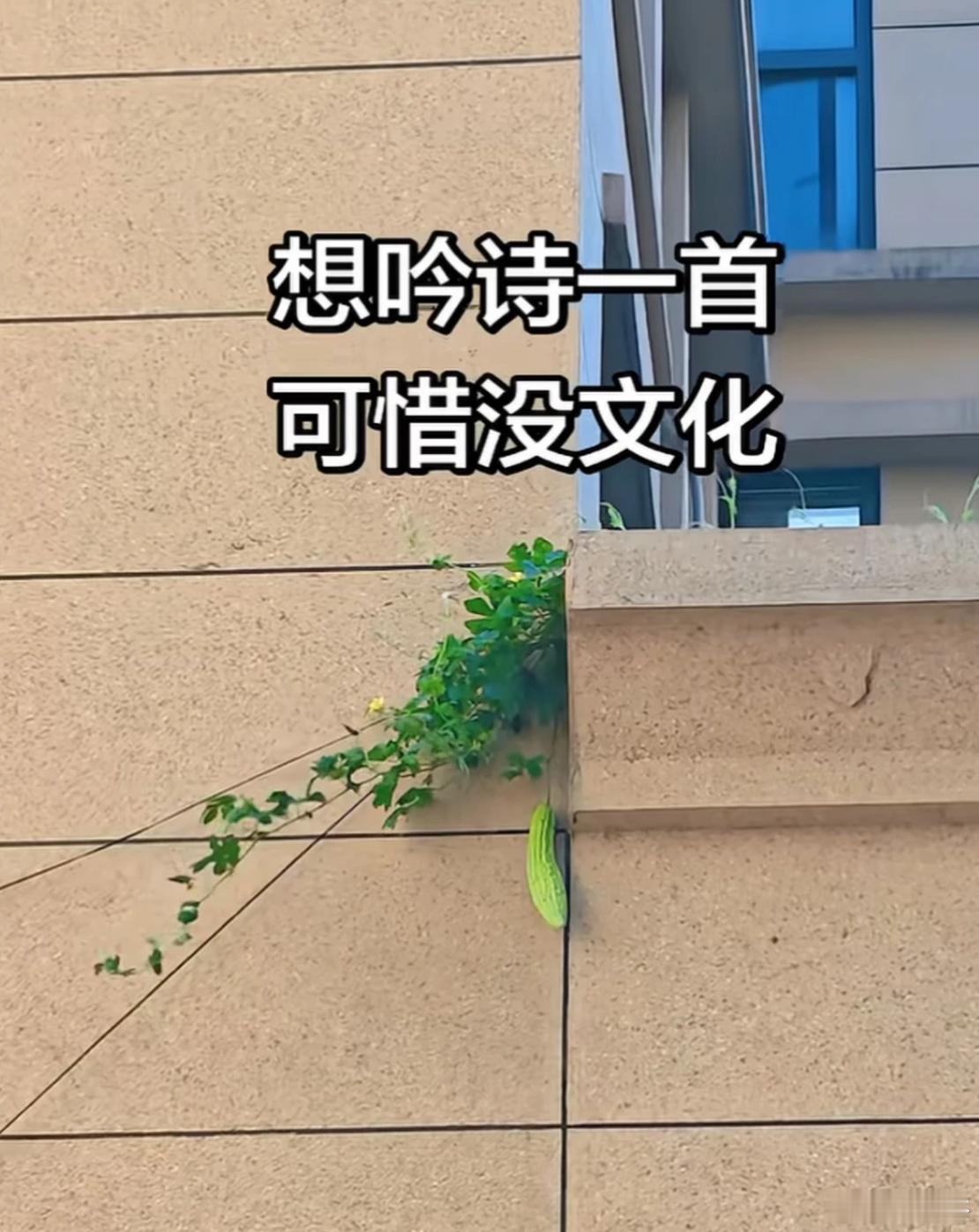 此情此景我很想吟诗一首，但是奈何没有文化。你们看到此情此景会想说什么？ 