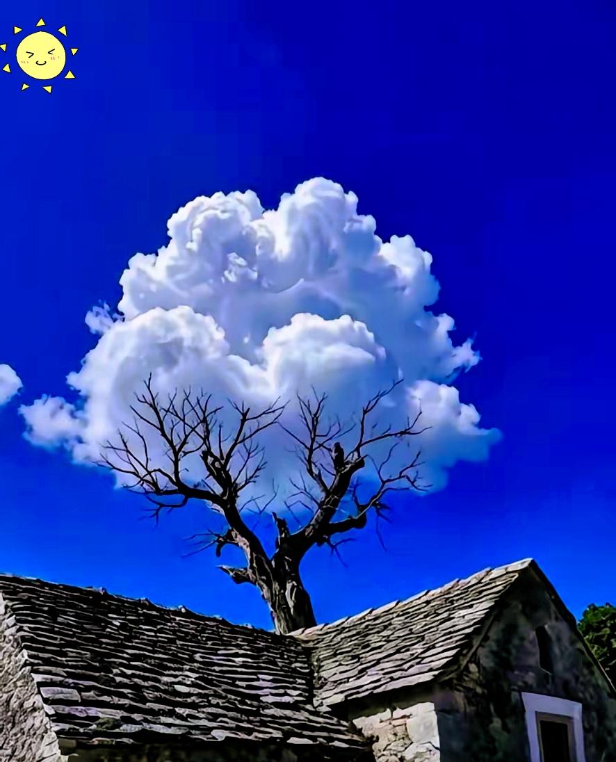 我妈先是嫁给了我大伯，生了两个闺女后，大伯在外头打工受了重伤，回家养病那阵子没熬