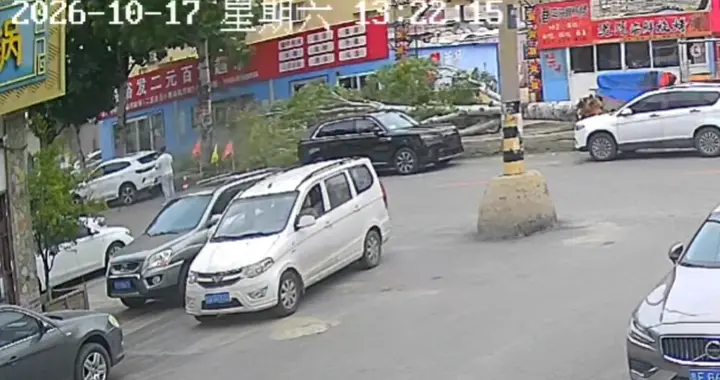山东烟台一棵大树被风吹倒，一家三口经过时被砸；当地回应：无大碍，在家休养