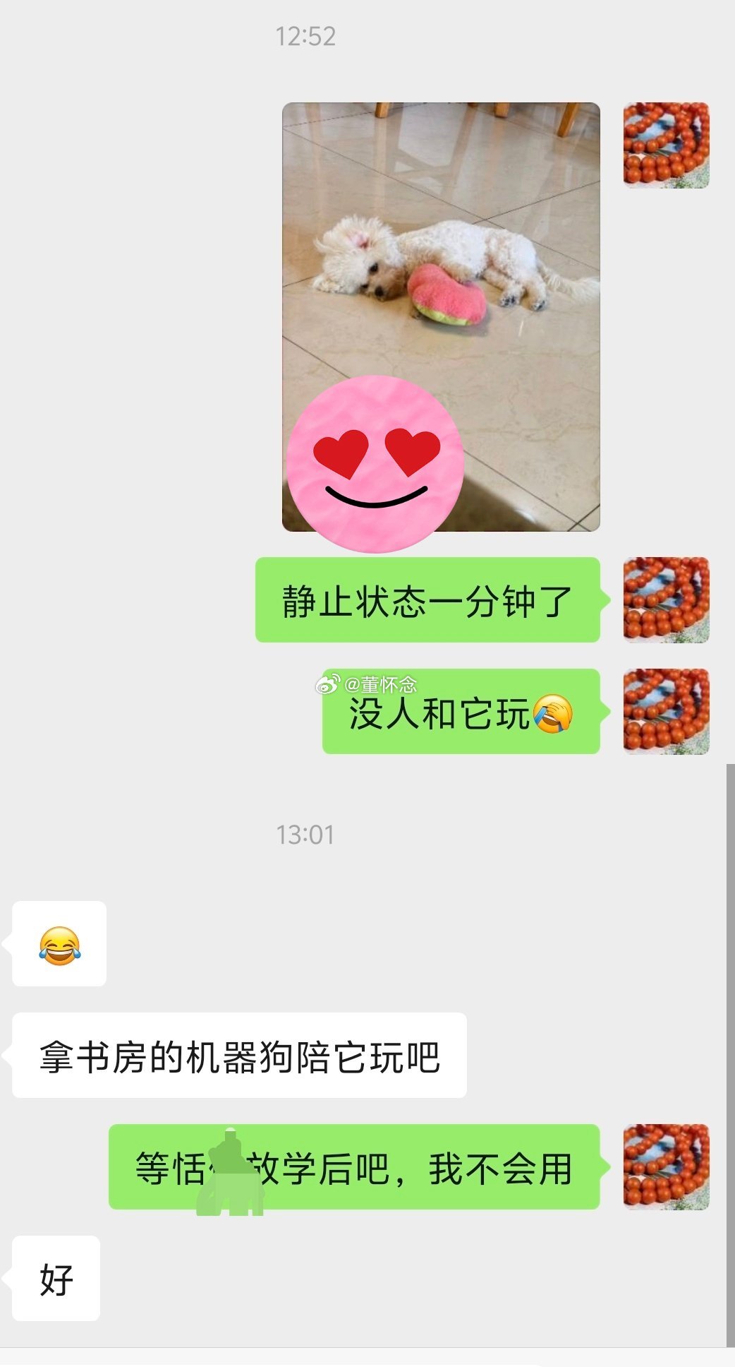 我老公还挺好的，我的话会接着不落地，并给出办法。其实他并不喜欢狗 ​​​