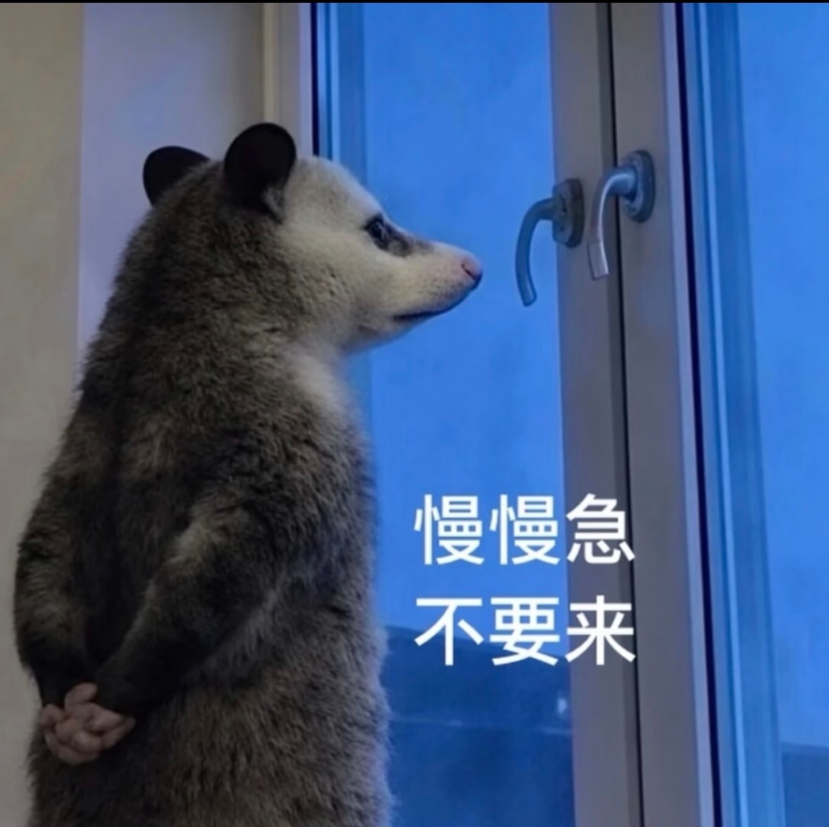 我一直有一个梦想，就是等我有钱了，我就去大街上随机挑选幸运观众，带他们体验他们没
