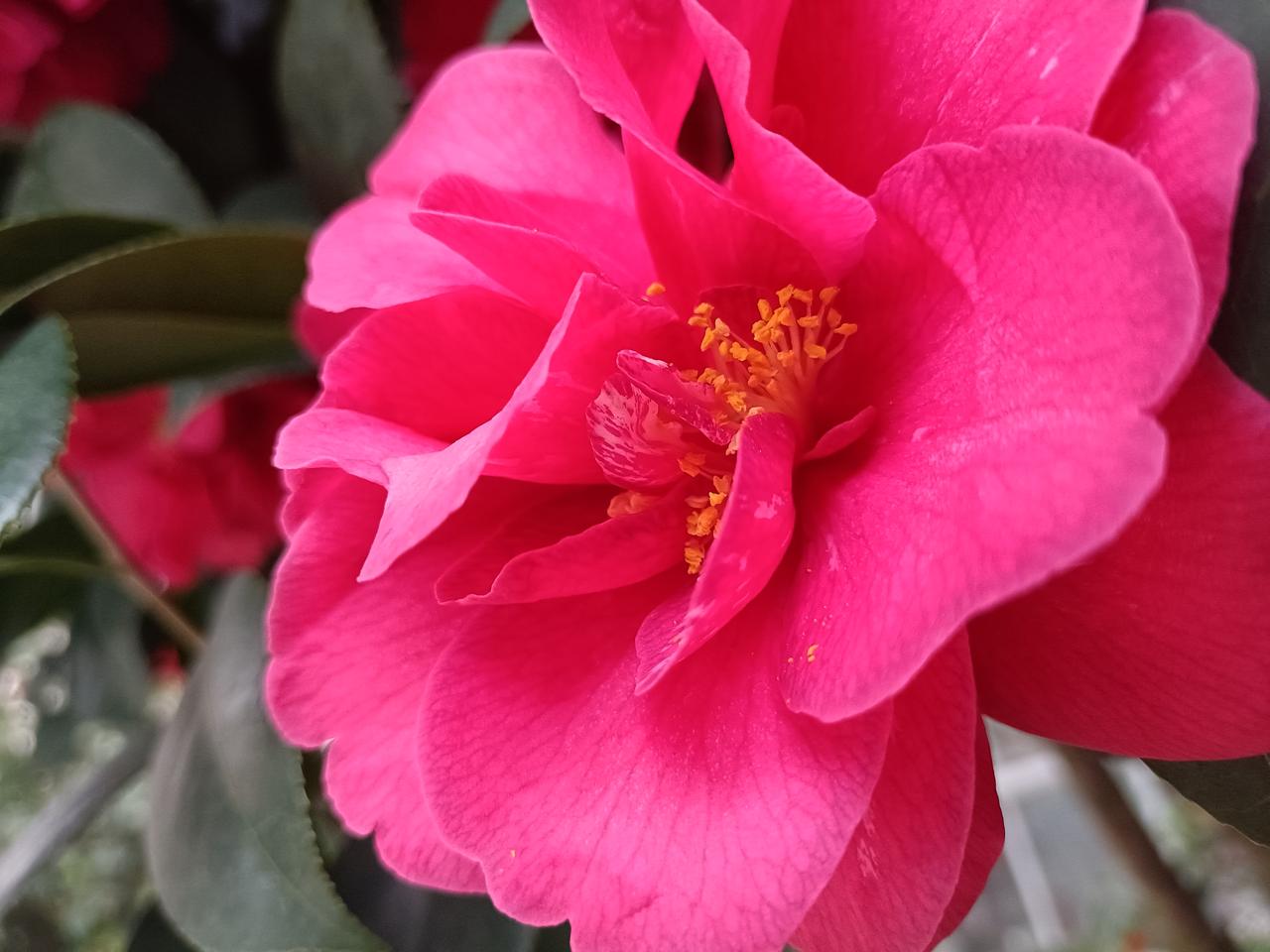 东阳市横店，一个村如何变成一座闻名世界的影视城。