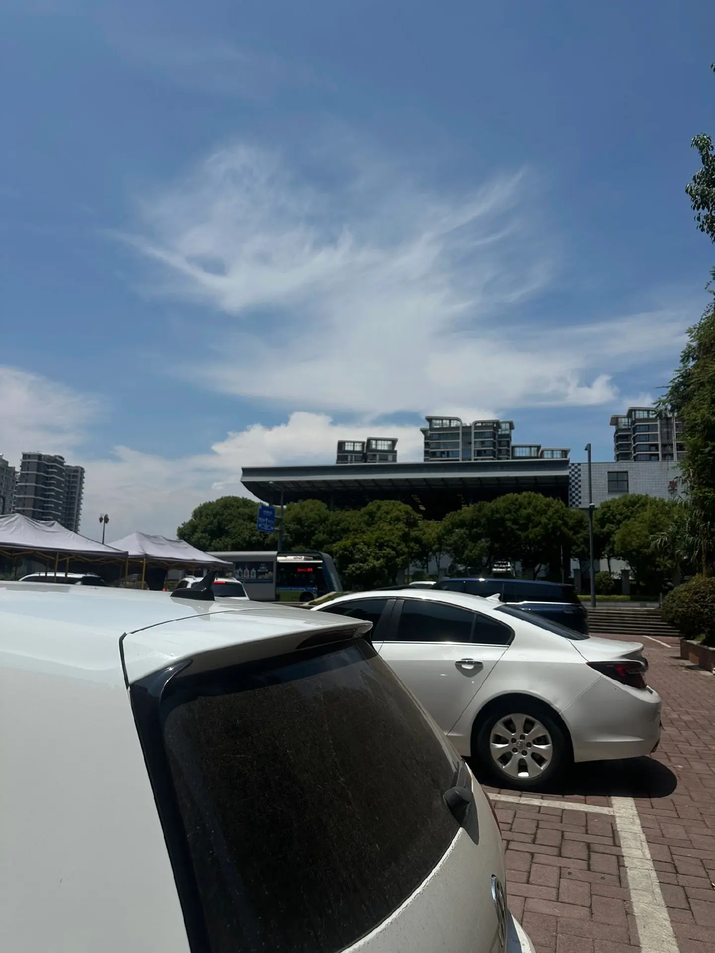 心情好的时候看什么都美。
