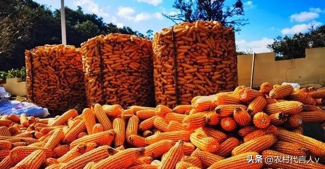 前30年人均粮食下降是因为人口增长，是正常的，这说法对吗？

从新中国成立到改革