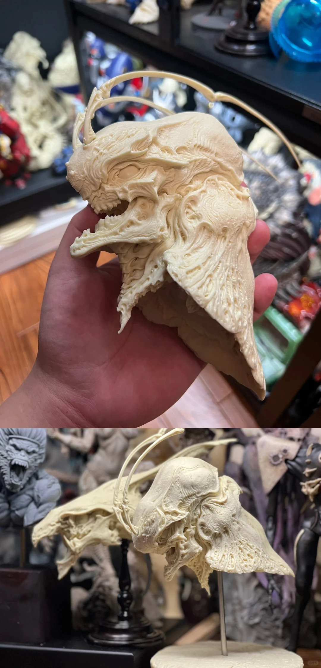 德拉斯客返图来啦～🎉