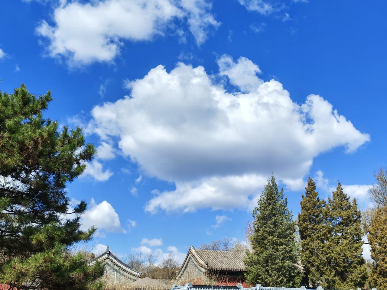 退休不是人生终局，只是下半场。没有必要消沉消极。随遇而安，随机应变！
告别职场，