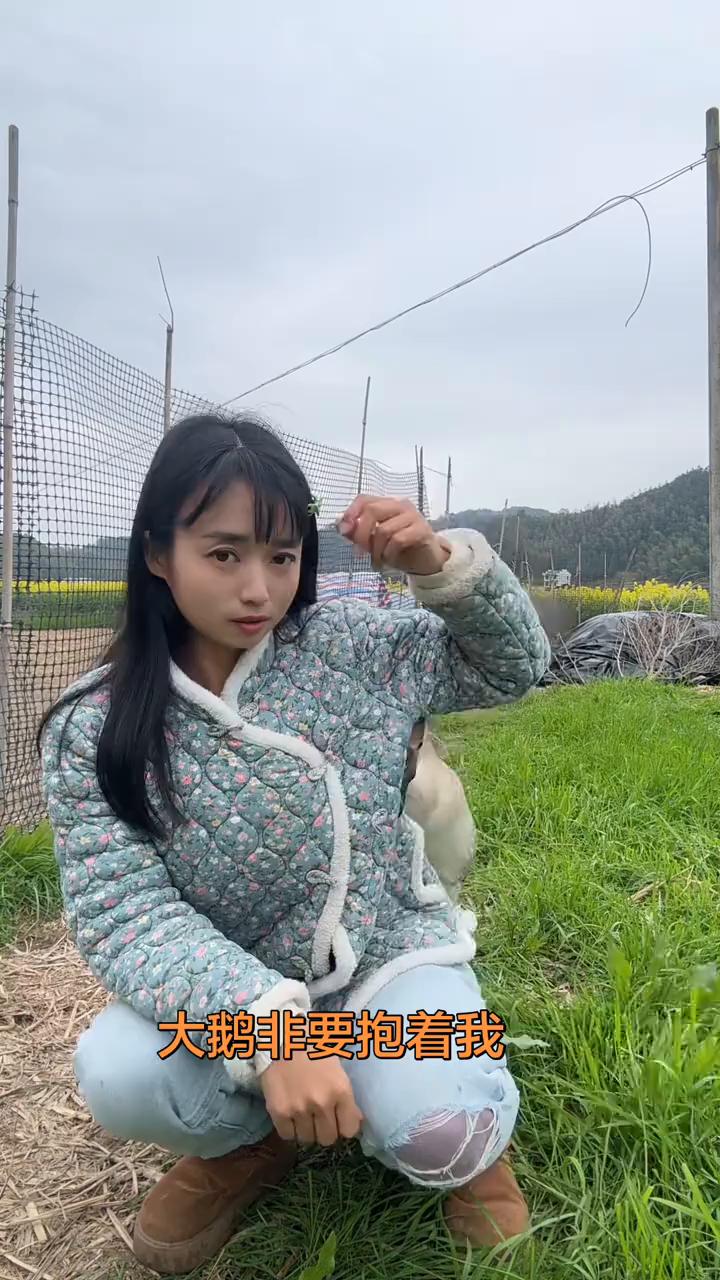 大鹅非要抱着我。