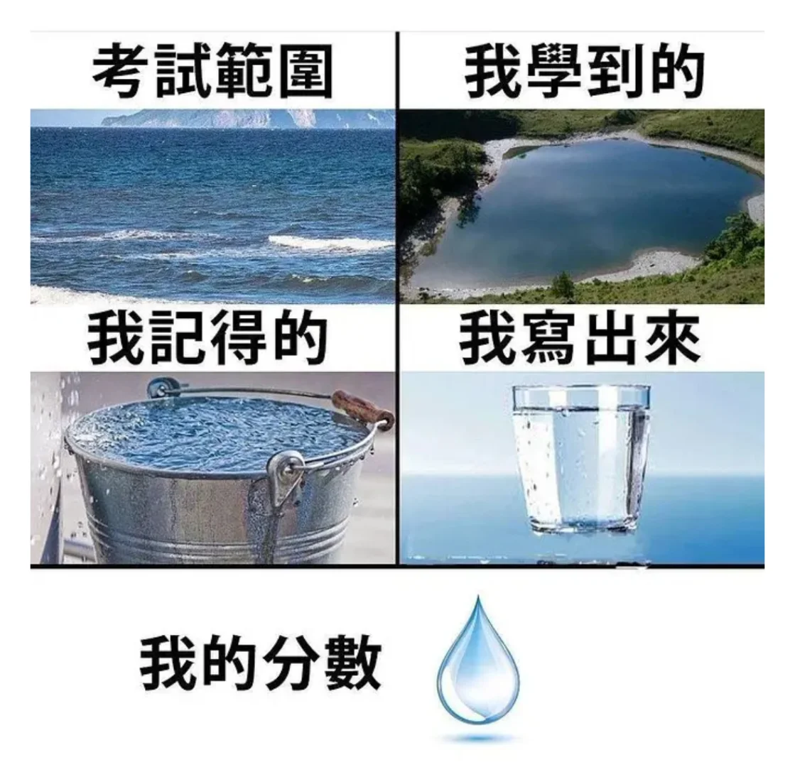 我的分数💧