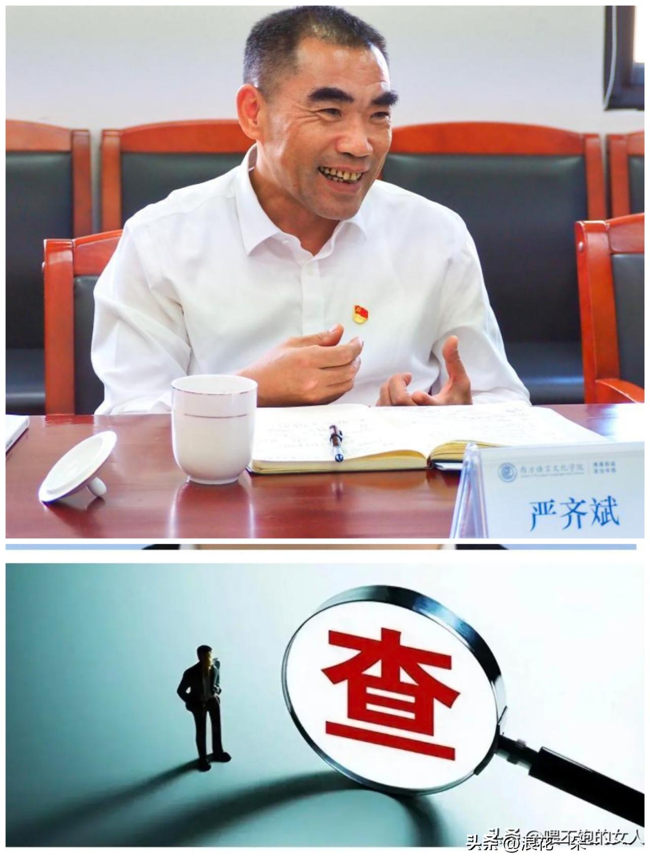 ……6月26日，“严齐斌”主动投案，看了一下他的履历，技术型官员出身，教授级高工