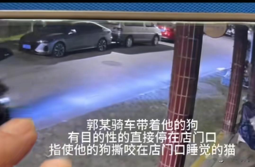 “太恶劣了！”江苏徐州宠物店老板深夜带三只烈性犬咬宠物猫后续:  双方已和解，猫