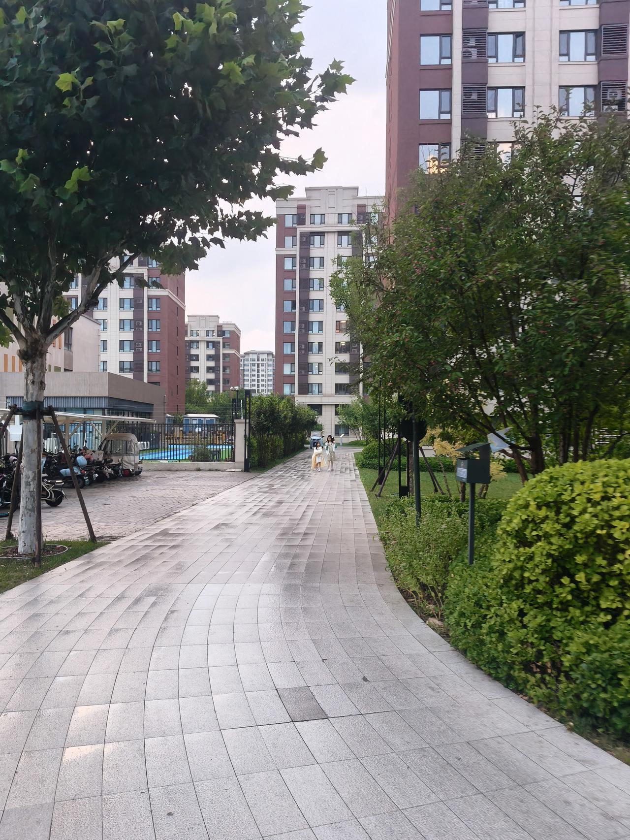 天津三伏天的雨下的真的太邪性了，一点喘息的时间都留给你，天气预报也没有预报有雨，