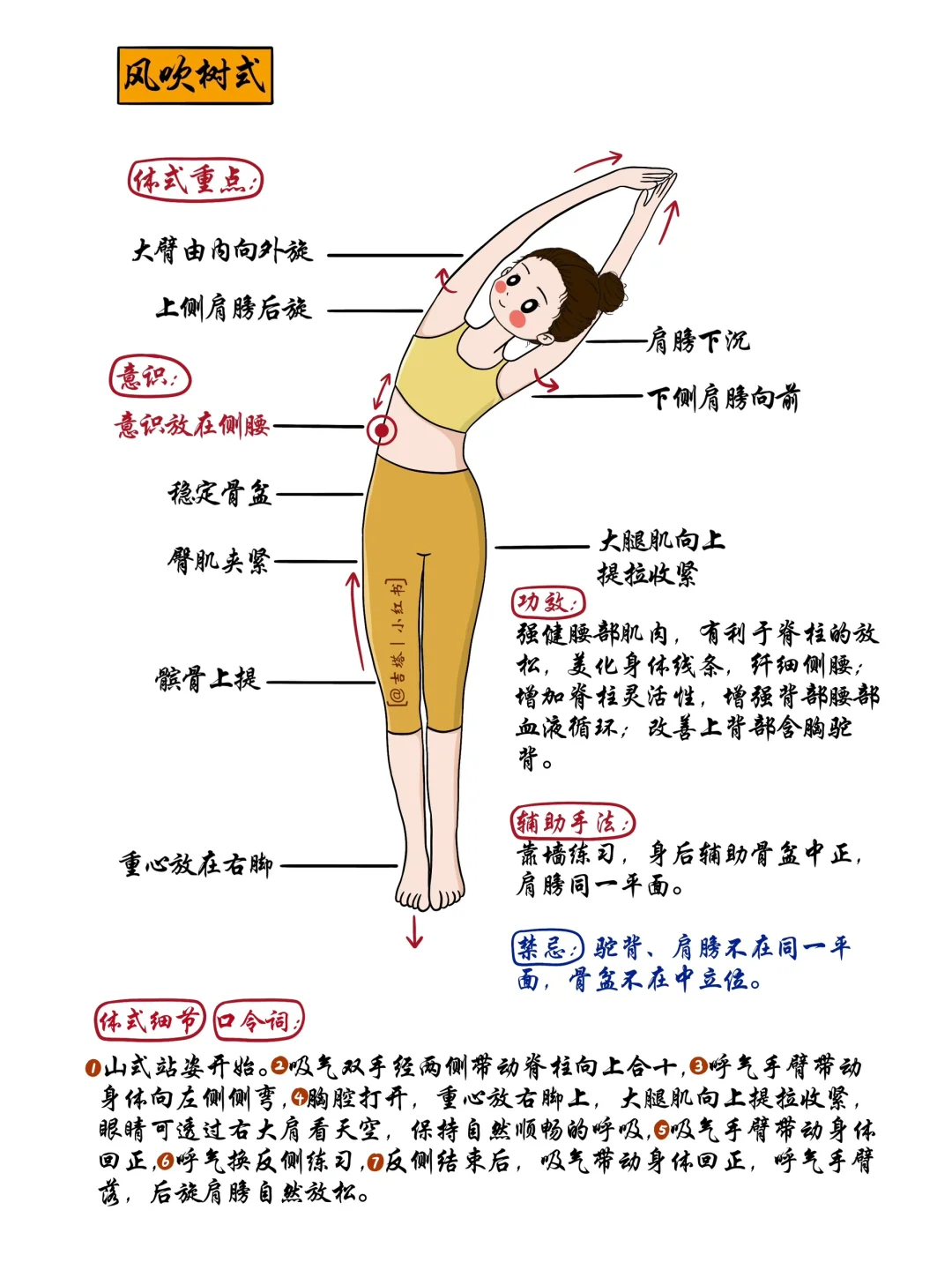 每天讲解一个瑜伽体式【第十三天】