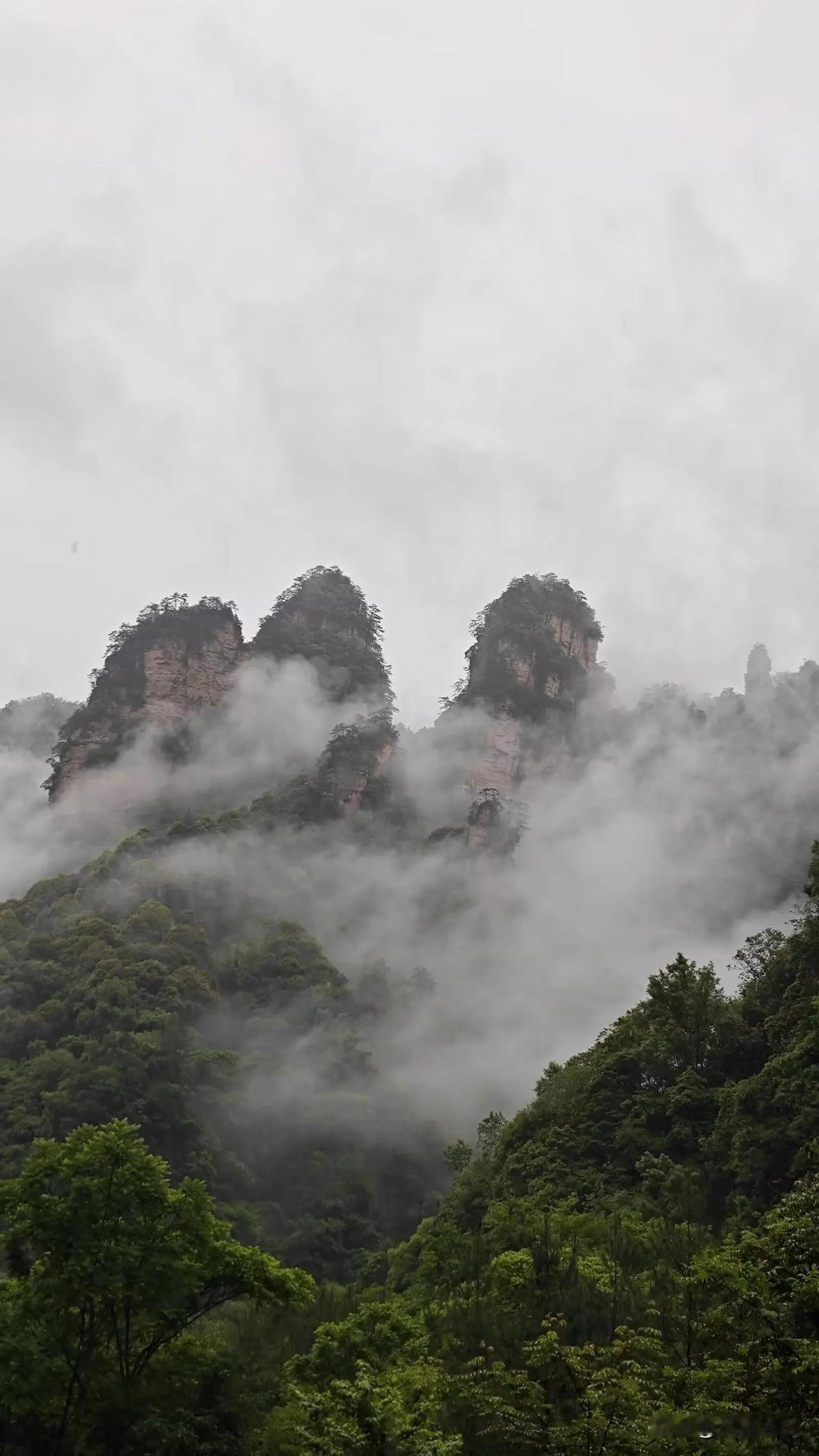 有时候，撸毛撸得久了
你才慢慢发觉
自己其实并不快乐
 
早上8点刚上班
8点半
