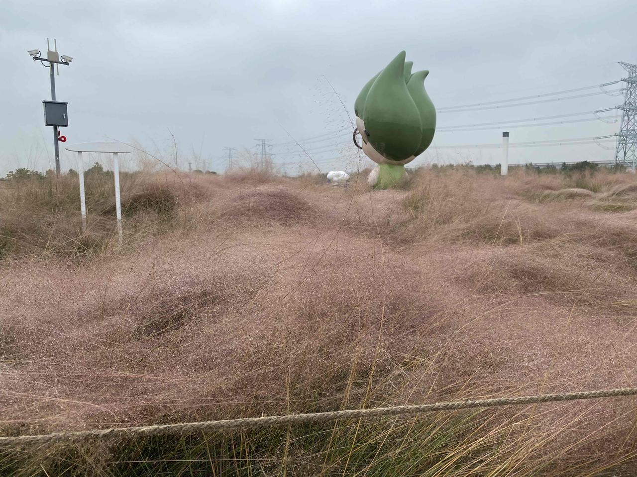 我是一个很懂得爱自己的人，比如，我舍得给自己买衣服，但舍不得给孩子买衣服。

这
