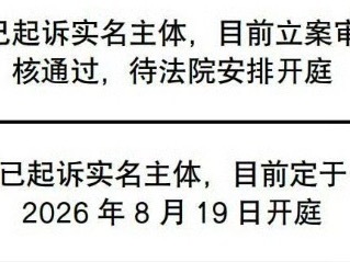 没什么好说的 比起只有excel表格的奶妈水还是直接开庭的朋姐更飒 