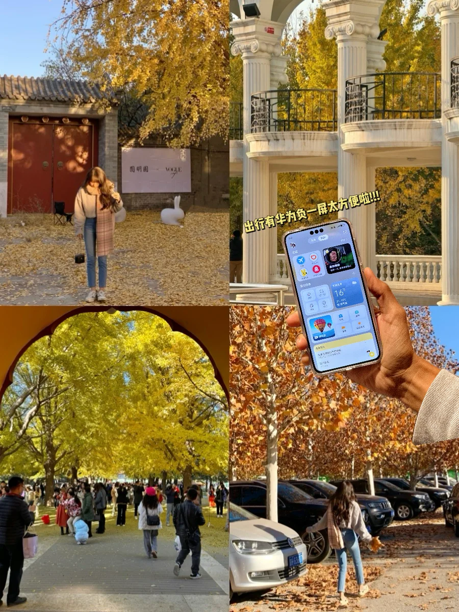 人生建议：北京的秋天🍂一定要去的4个公园！