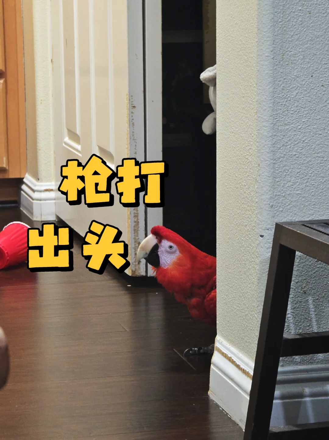 啊？👉🏻