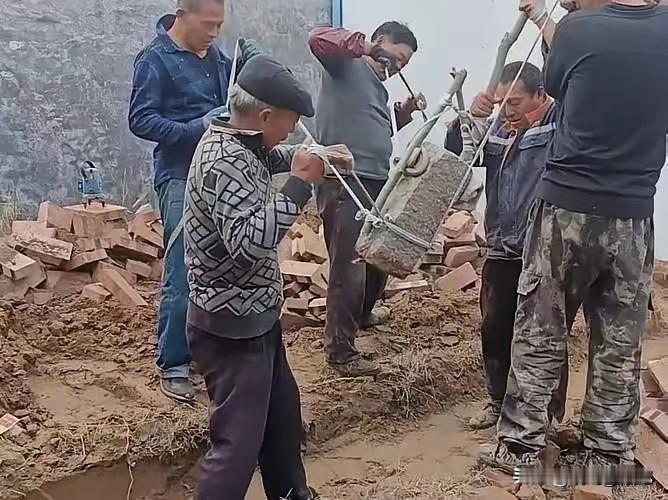 谁能告诉我，他们在干嘛？