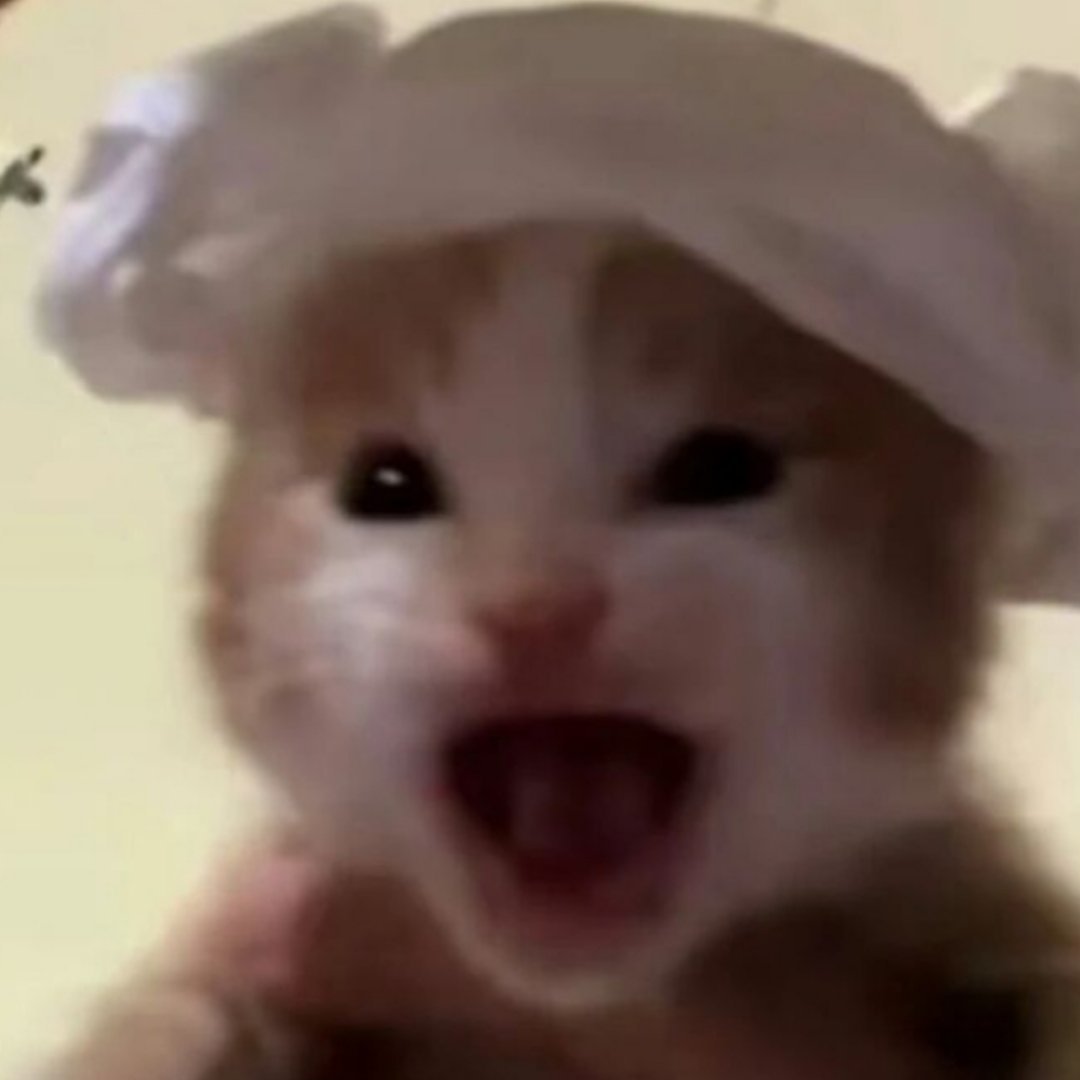 左边狠狠超晕右边吧 