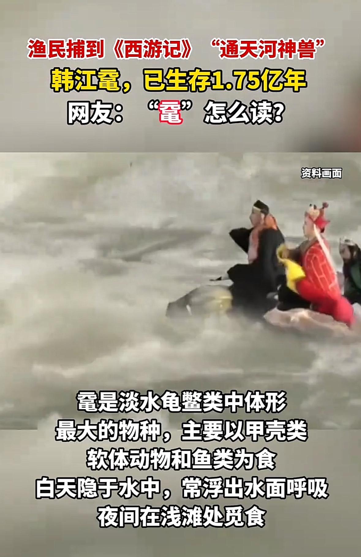 这下彻底解释不清了！
西游记里的“通天河神兽”可能真的存在！
它就是～


有“