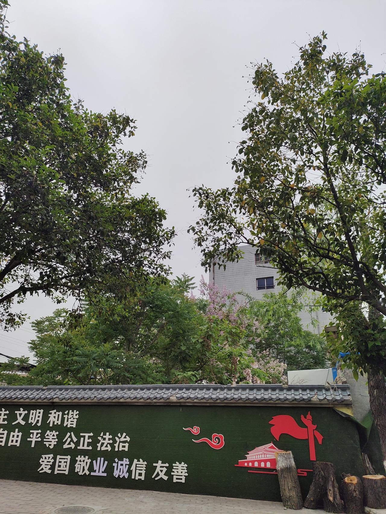 春日生活打卡季街头的日常一角，绿墙标语、葱郁的树木，和远处的浅灰楼房，在阴天里凑