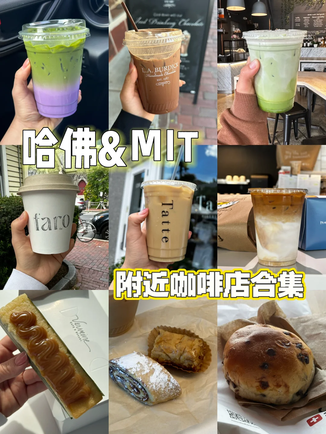 波士顿｜哈佛&MIT周围🔟家面包+咖啡店合集
