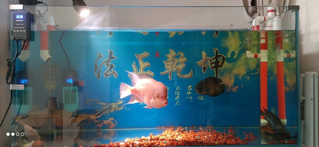 实习律师第138天
        居然感冒了，头昏脑胀。今早直接开车去委托人公