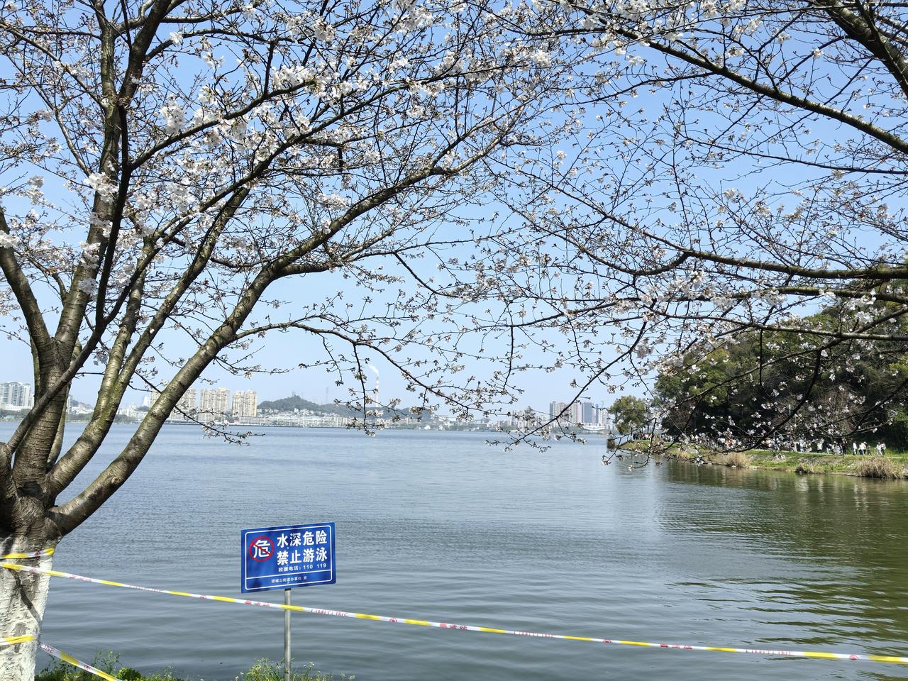 看到“秋雨无心敲落叶”这个上联，瞬间就来了兴致。这上联营造出一种很有意境的画面，