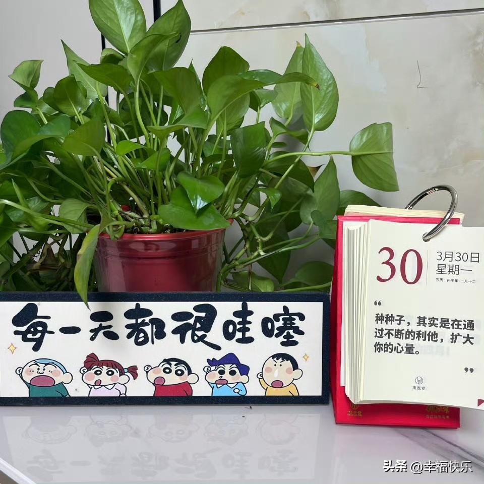 2026.03.30
周一，快乐