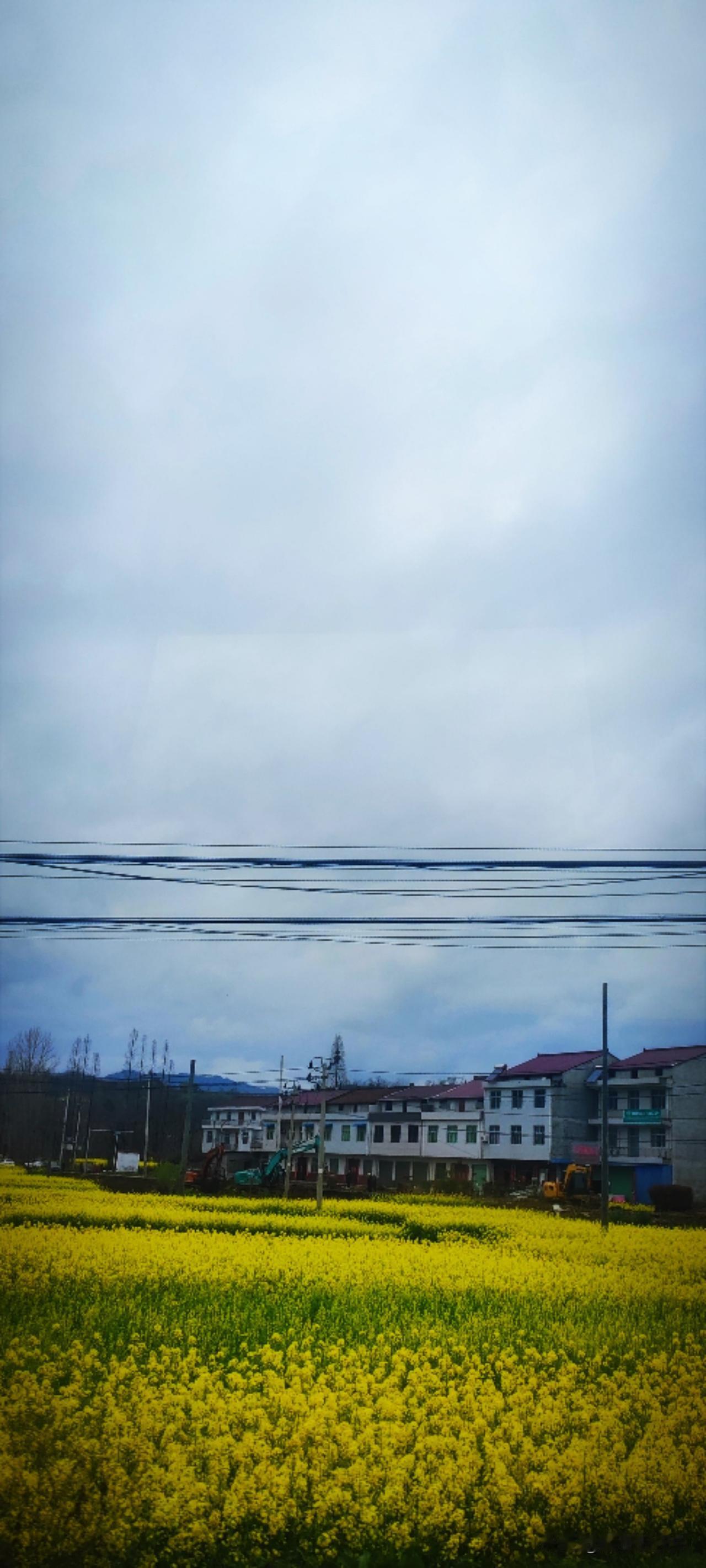 一路，满眼都是一块一块的油菜花田。即使是阴天，明黄色点燃了好心情。生活里，都希望