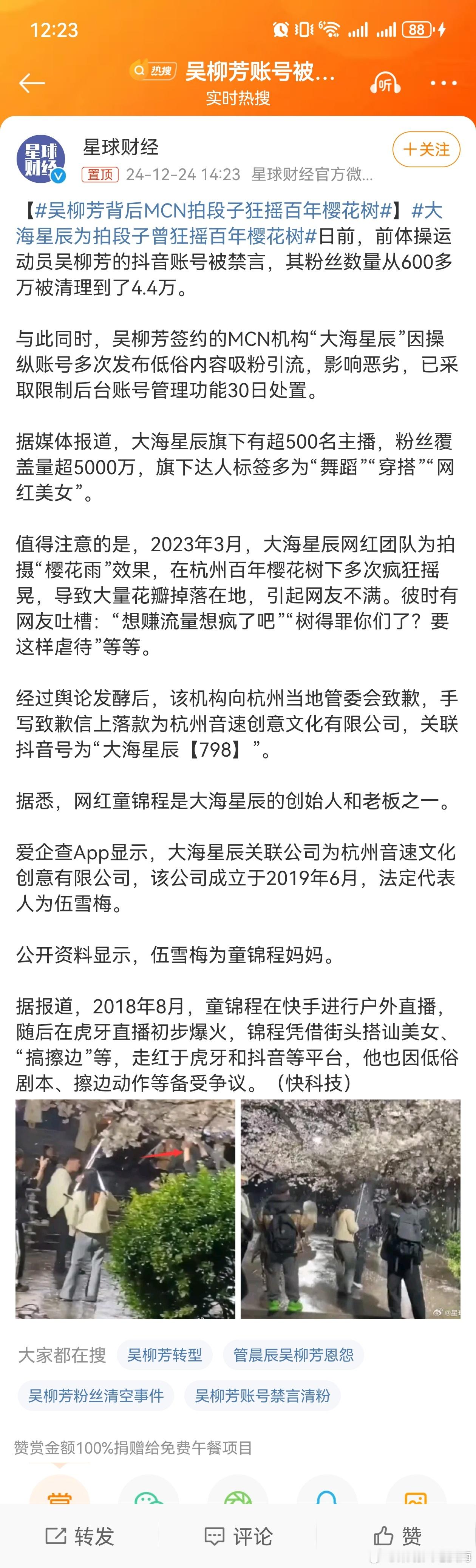 吴柳芳背后MCN拍段子狂摇百年樱花树  大海星辰为拍段子曾狂摇百年樱花树 202