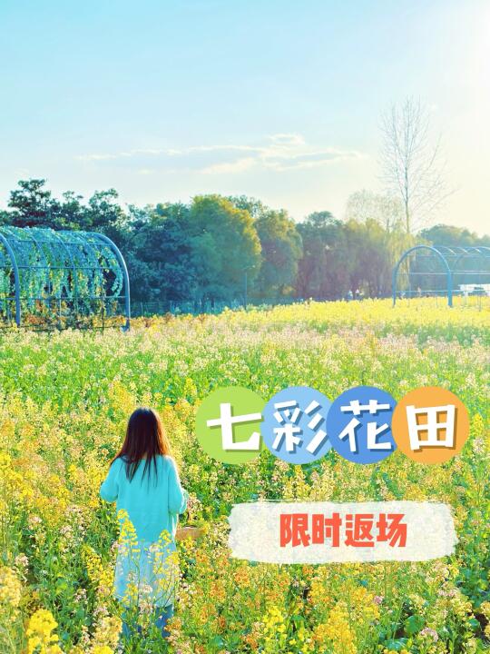 五常都市农园!🌸七彩油菜花，又双叒来啦！