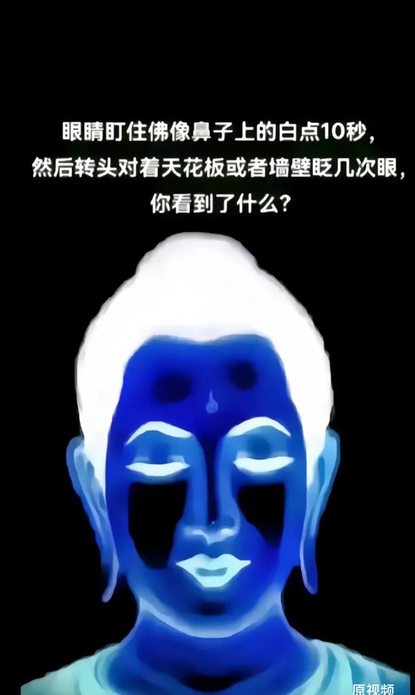 眼睛盯住佛像鼻子上的白点10秒，然后转头对着天花板或者墙壁眨几次眼，你看到了什么