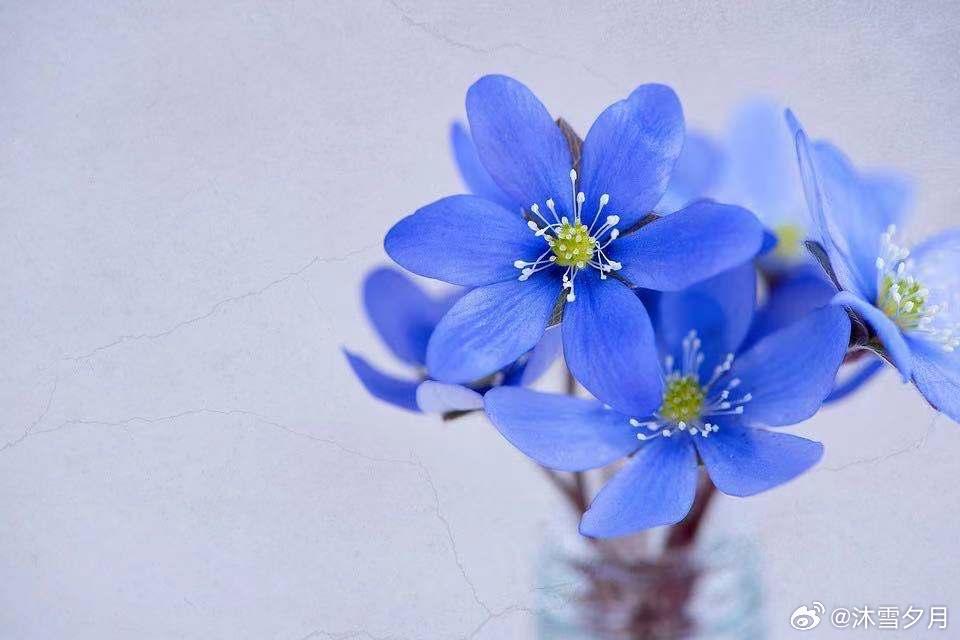 我在宝宝两个多月的时候，因为在月子里跟老公吵架，婆婆掺和，我就只说了几句话，婆婆